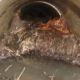 Blocked Drain And CCTV Survey In Faversham
