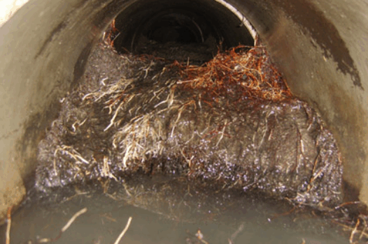 Blocked Drains In Kent